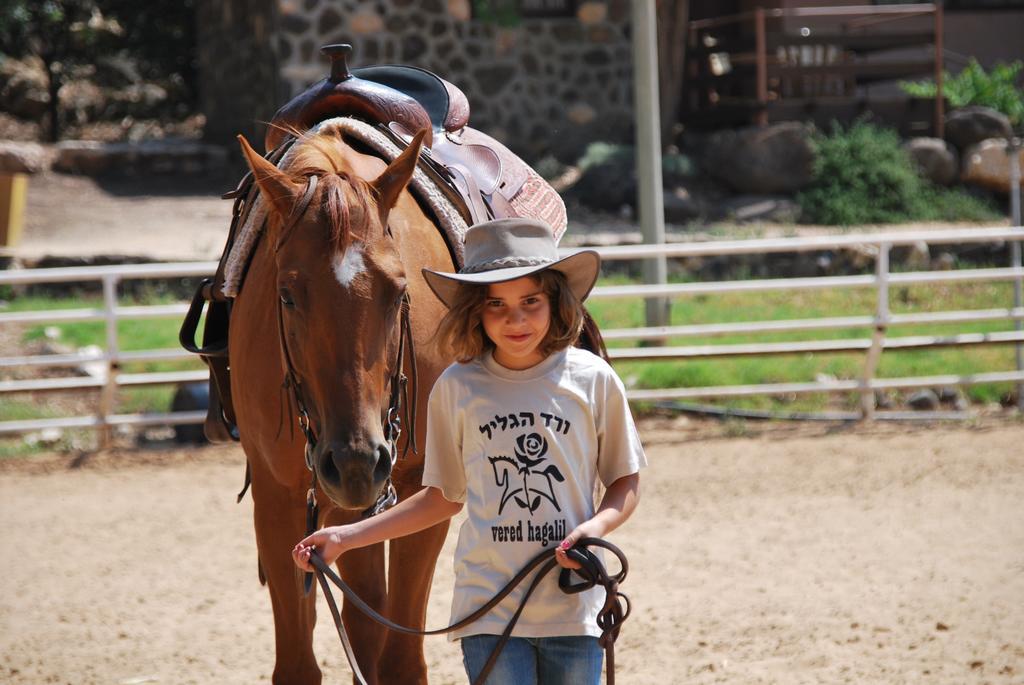 Vered Hagalil Holiday Village Hotel Chorazim Dış mekan fotoğraf