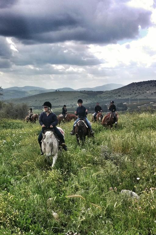 Vered Hagalil Holiday Village Hotel Chorazim Dış mekan fotoğraf