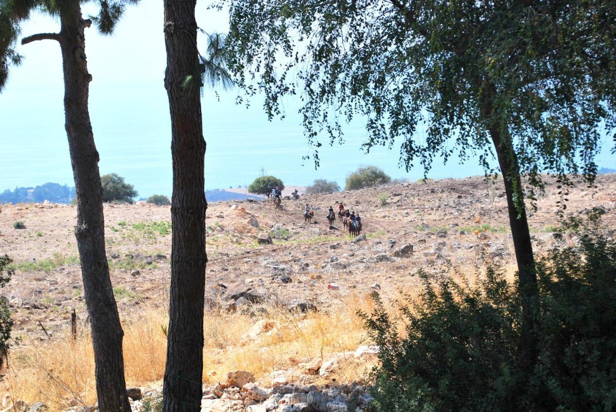 Vered Hagalil Holiday Village Hotel Chorazim Dış mekan fotoğraf