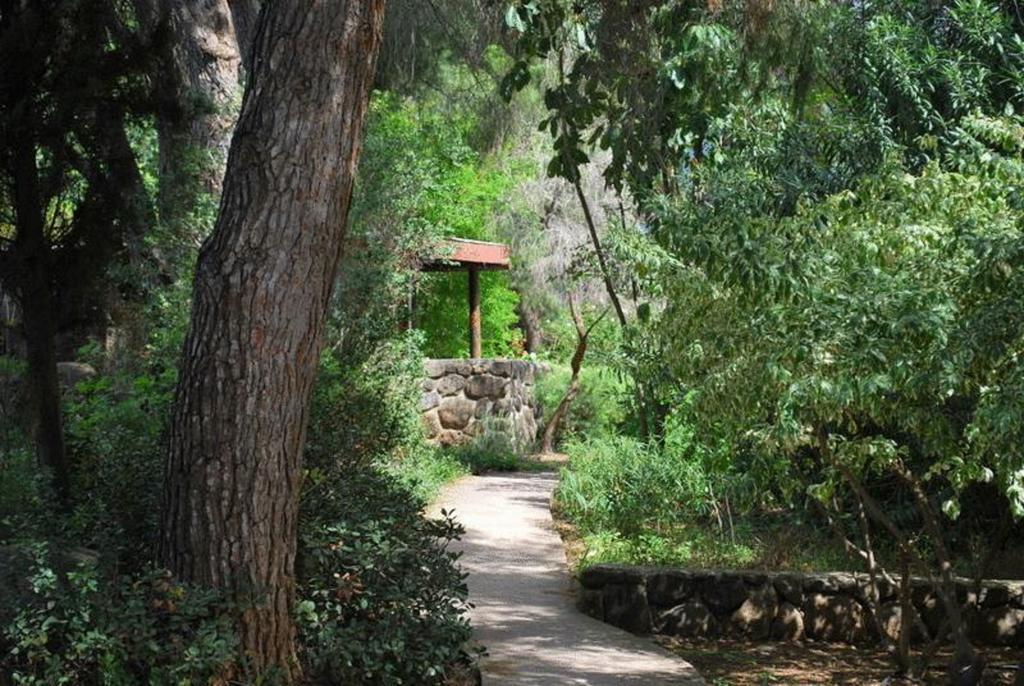 Vered Hagalil Holiday Village Hotel Chorazim Dış mekan fotoğraf
